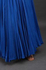 Royal Blue Cape GownIMG_9748