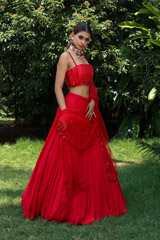 Red Embellished LehengaIMG_0498