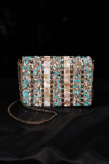 Embellished ClutchIMG_1703