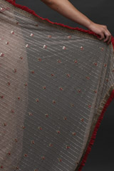 White Mirror Cutwork Saree_DSC4325