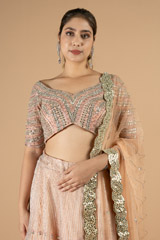 Peach Line  LehengaDSC09185