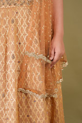 Rosegold Jacket LehengaDSC09038