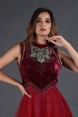 Wine Embroidered Net GownIMG_3823