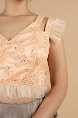 Coral  BlouseDSC07049