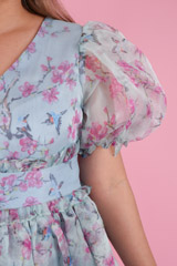 The Ballerina DressDSC09351