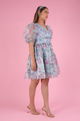 The Ballerina DressDSC09352