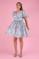 The Ballerina DressDSC09354