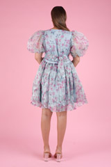 The Ballerina DressDSC09355