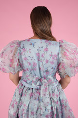 The Ballerina DressDSC09356