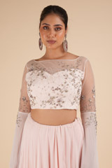 Sheer Back Tulle LehengaDSC00736