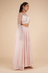 Sheer Back Tulle LehengaDSC00738