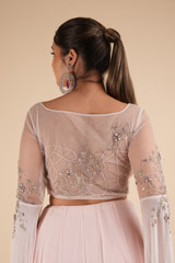 Sheer Back Tulle LehengaDSC00743