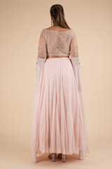 Sheer Back Tulle LehengaDSC00745