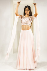 Sheer Back Tulle Lehenga_DSC2860