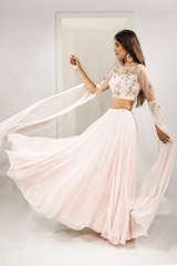 Sheer Back Tulle Lehenga_DSC2899