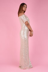 Sequin GownDSC09400