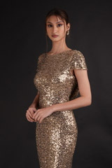 Golden Sequin GownDSC07894