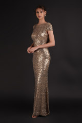 Golden Sequin GownDSC07895