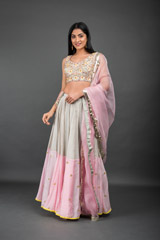 Grey Embellished Lehenga_DSC3564-Edit