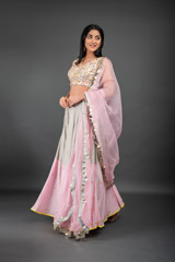 Grey Embellished Lehenga_DSC3565-Edit