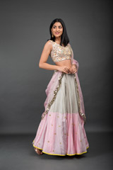 Grey Embellished Lehenga_DSC3571-Edit