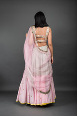 Grey Embellished Lehenga_DSC3583-Edit