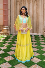 Lime Organza Cape Lehenga_DSC7527-Edit