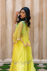 Lime Organza Cape Lehenga_DSC7683-Edit