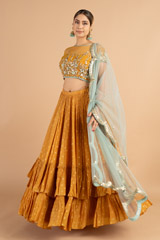 Mustard Foil Printed Kali LehengaDSC01079