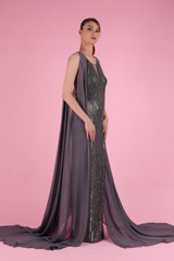 Grey Embellished GownDSC09316