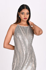 Silver Embellished GownDSC_3924