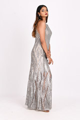 Silver Embellished GownDSC_3938