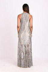 Silver Embellished GownDSC_3944