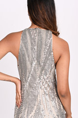 Silver Embellished GownDSC_3947