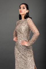 Golden Embellished Gown_DSC4039-Edit