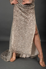 Golden Embellished Gown_DSC4048