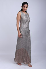 Silver Embellished GownIMG_9581