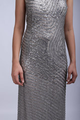 Silver Embellished GownIMG_9588