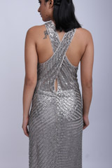 Silver Embellished GownIMG_9594