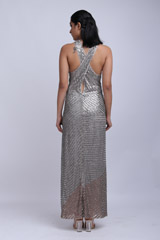 Silver Embellished GownIMG_9597