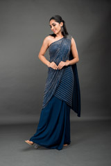 Blue Berlin Saree Gown_DSC4068-Edit