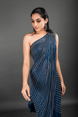 Blue Berlin Saree Gown_DSC4075-Edit