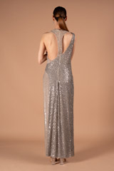 Silver GownDSC00953