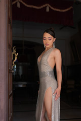Silver GownDSC07728
