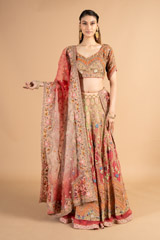 Multi- coloured Ombre Mor Jharokha Embroidered LehengaDSC00493