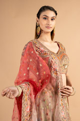 Multi- coloured Ombre Mor Jharokha Embroidered LehengaDSC00496