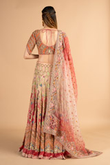 Multi- coloured Ombre Mor Jharokha Embroidered LehengaDSC00502