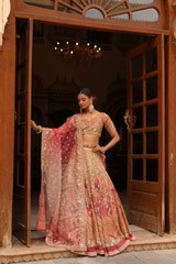 Multi- coloured Ombre Mor Jharokha Embroidered LehengaDSC03860