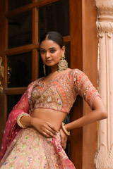Multi- coloured Ombre Mor Jharokha Embroidered LehengaDSC03885