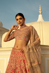 Ombre Mor Jharokha LehengaDSC02768